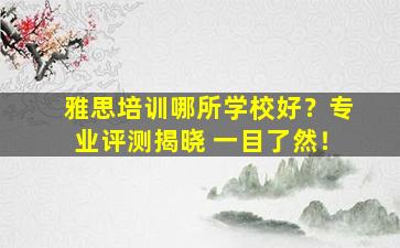 雅思培训哪所学校好？专业评测揭晓 一目了然！